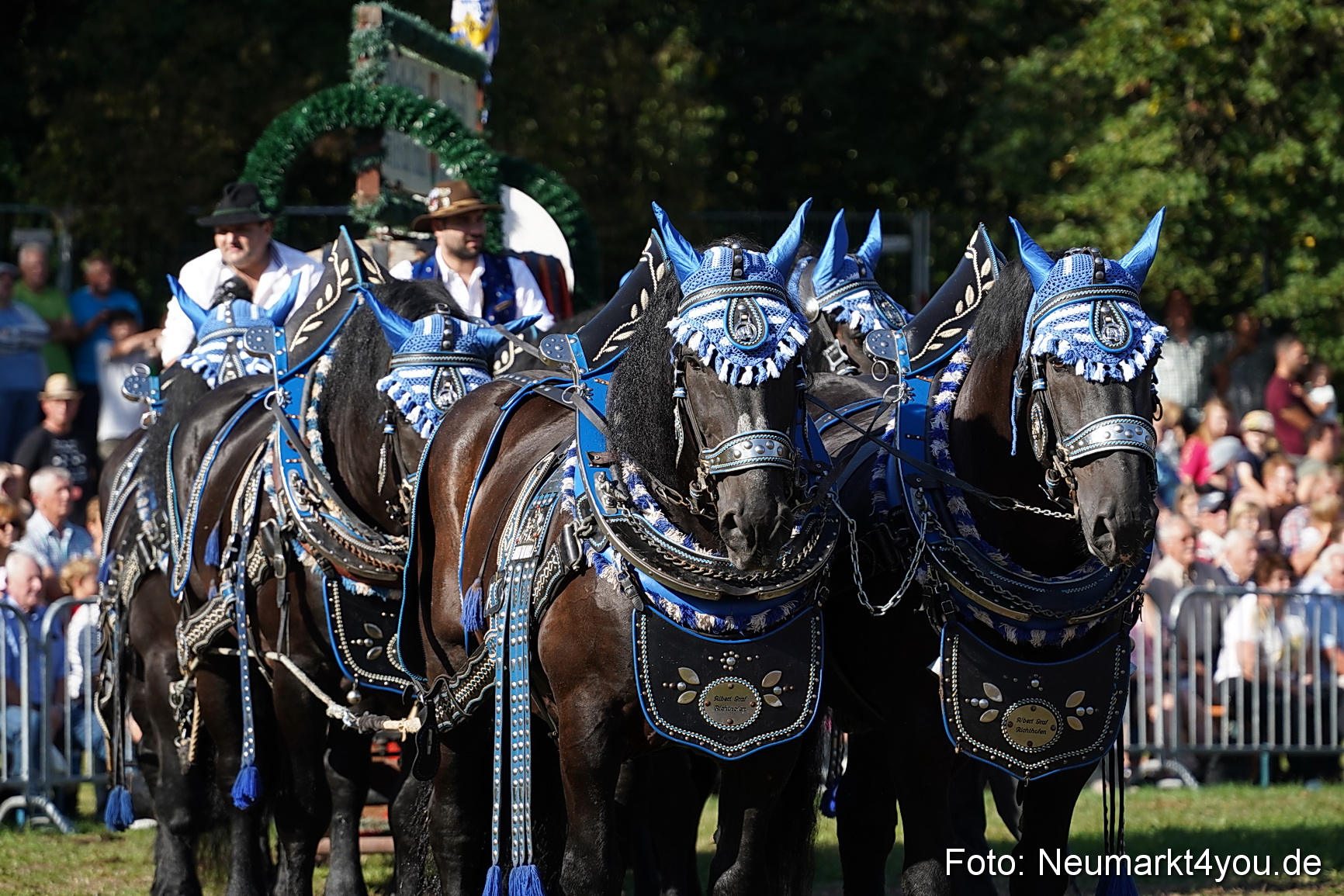 Pferde und Fohlenschau 2022 0039 